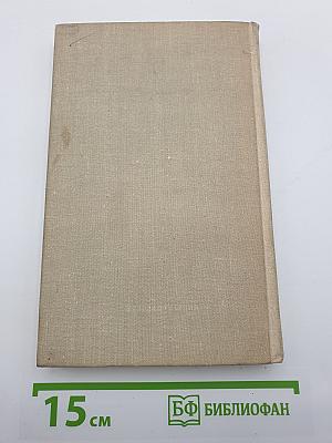Сова Минервы