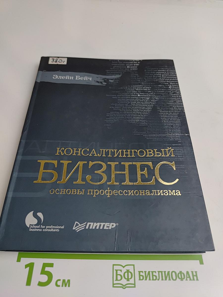 Консалтинговый бизнес. Основы профессионализма