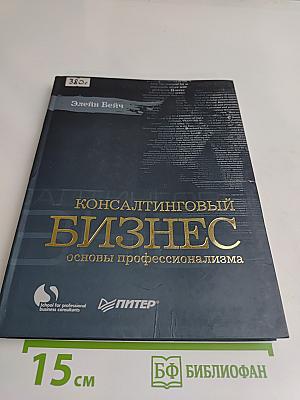 Консалтинговый бизнес. Основы профессионализма