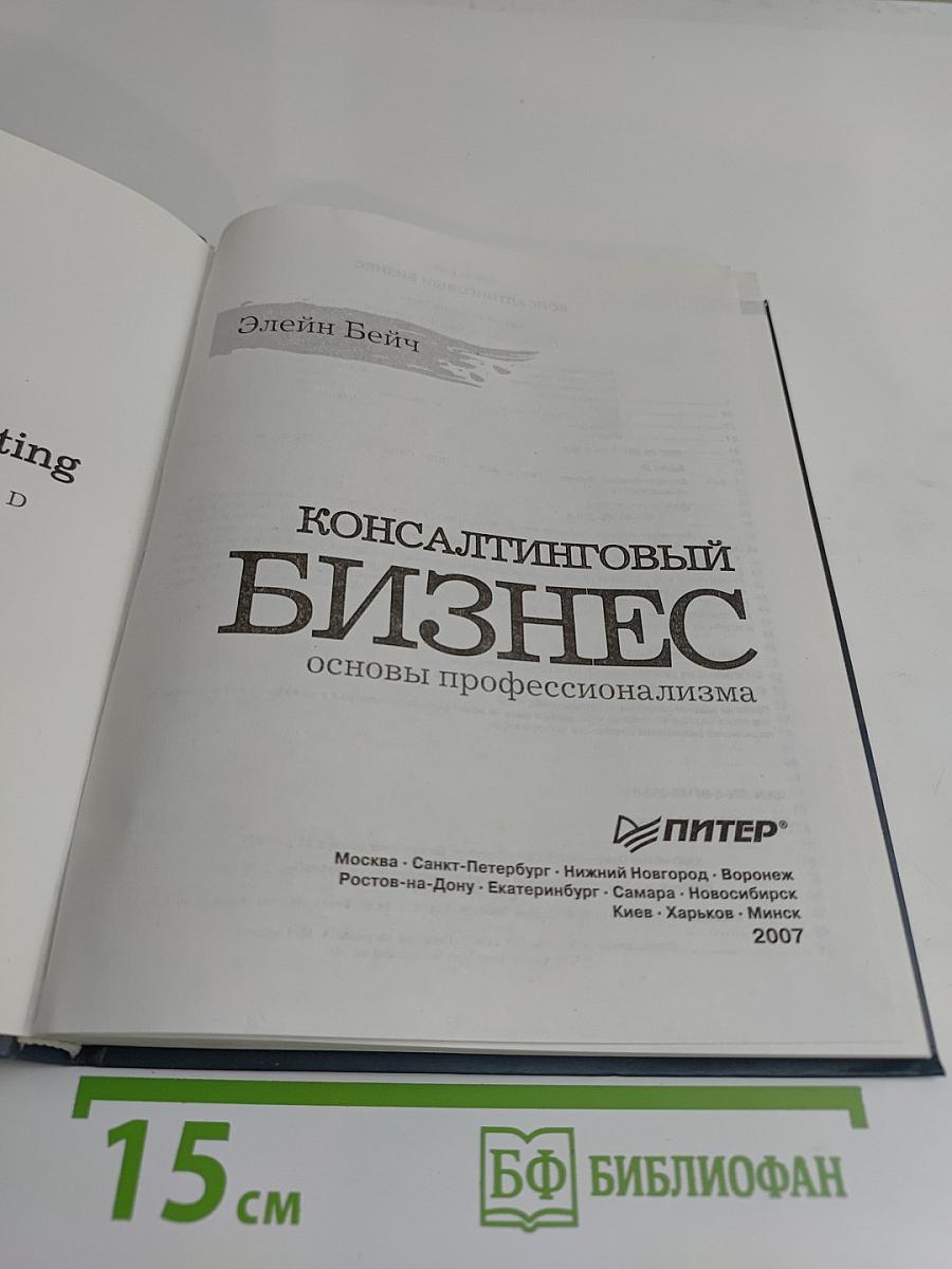 Консалтинговый бизнес. Основы профессионализма