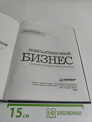 Консалтинговый бизнес. Основы профессионализма