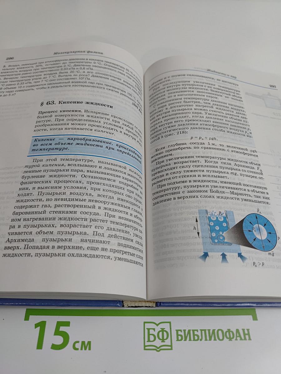 Физика. 10 класс