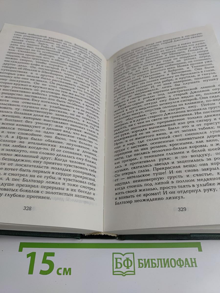 Сага о Форсайтах. Собственник. В петле