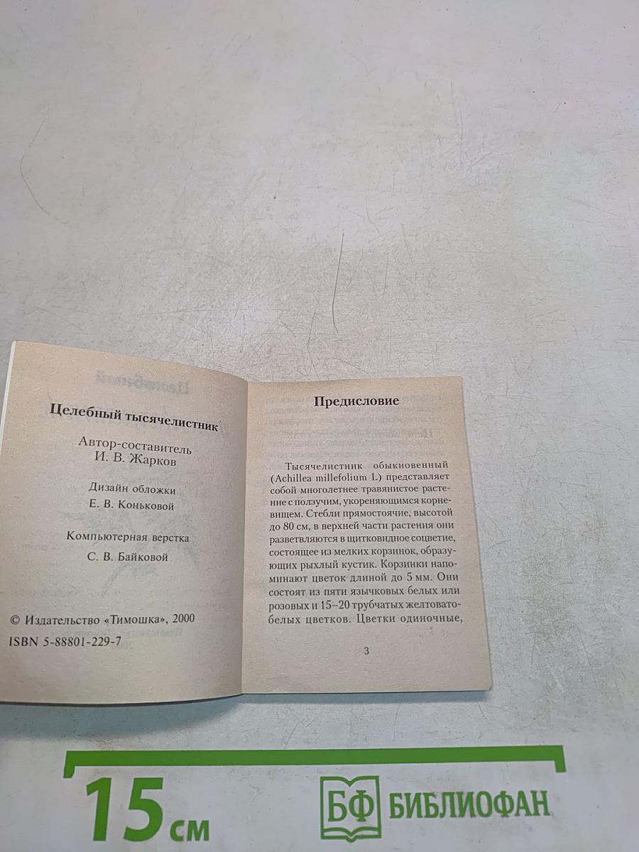 Целебный тысячелистник