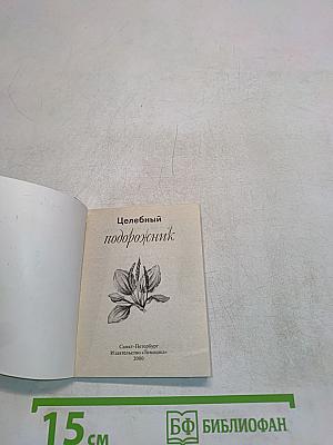 Целебный подорожник