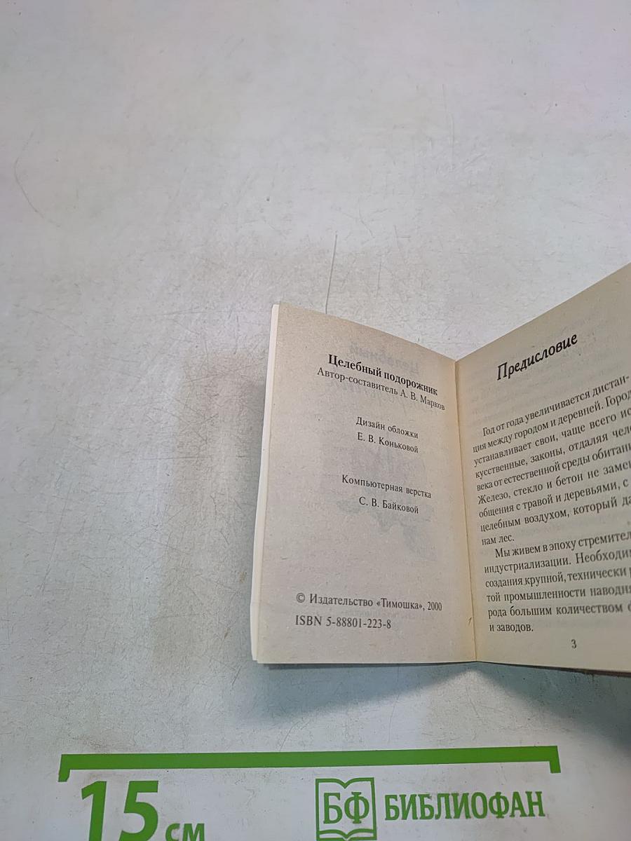 Целебный подорожник