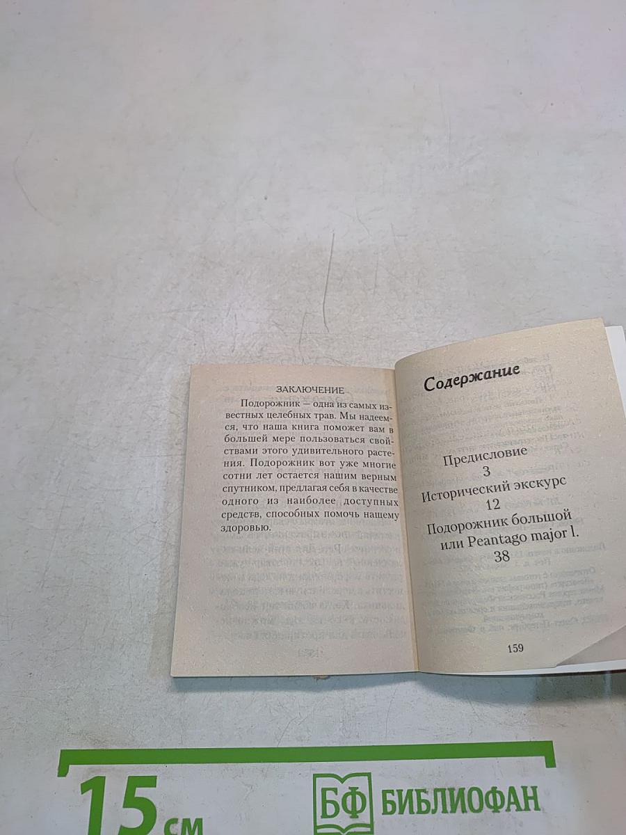 Целебный подорожник