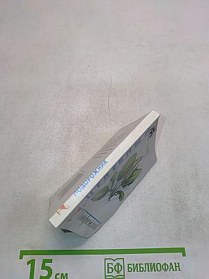Целебный подорожник