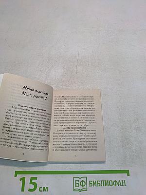 Целебная мята
