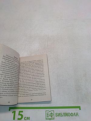Врачевание березовыми палочками