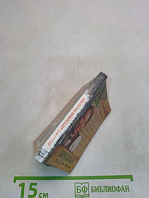 Врачевание березовыми палочками
