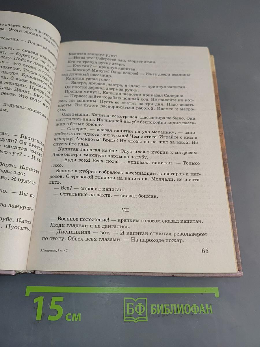 Литература. 5 класс. Учебник-хрестоматия для школ и классов с углубленным изучением литературы, гимназий и лицеев. В двух частях. Часть 2