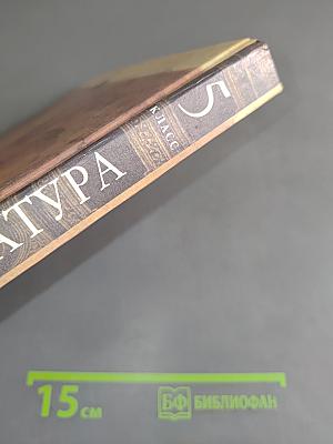 Литература. 5 класс. Учебник-хрестоматия для школ и классов с углубленным изучением литературы, гимназий и лицеев. В двух частях. Часть 2