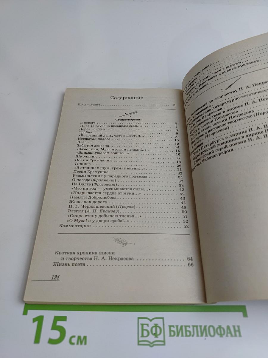 Школьная программа. Н. А. Некрасов. Лирика. Анализ текста. Основное содержание сочинения