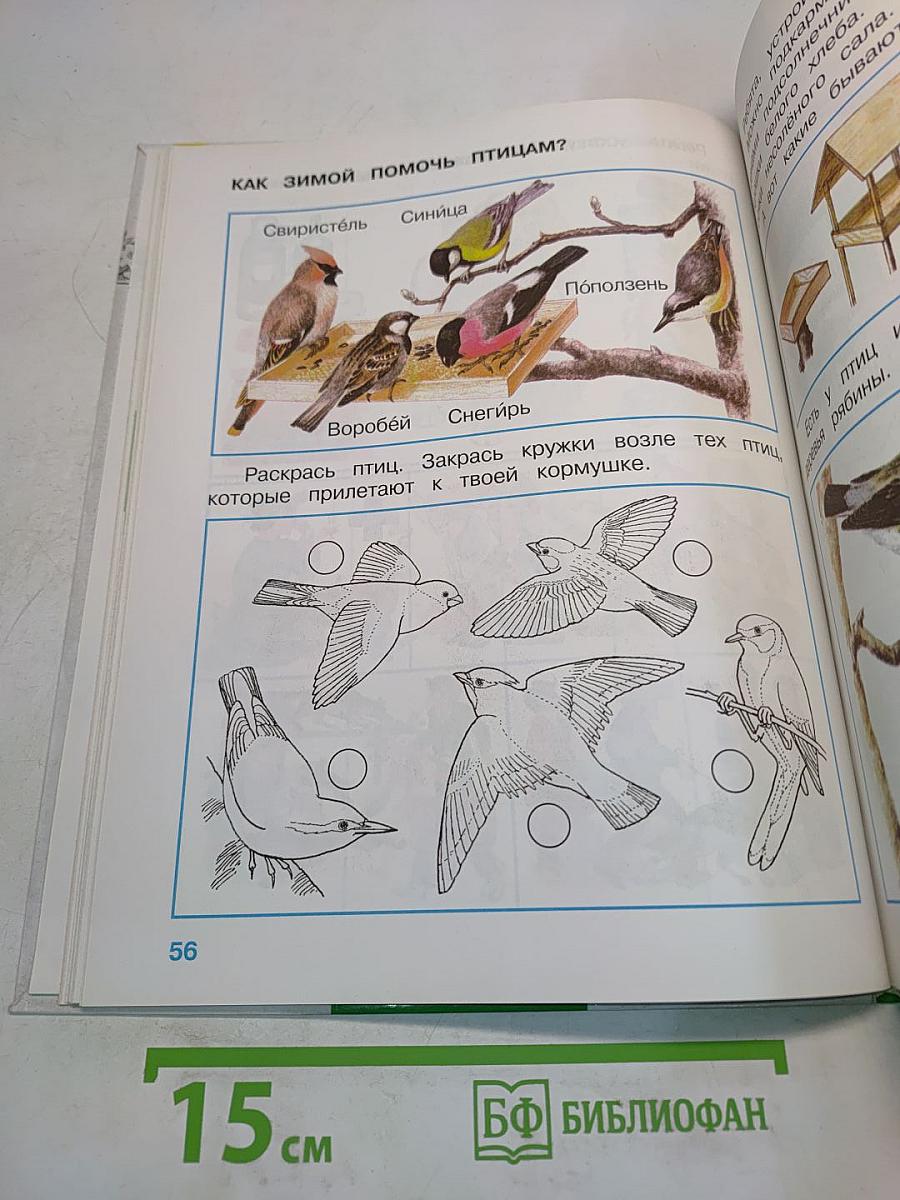 Окружающий мир. Учебник для 1 класса начальной школы. Часть 1