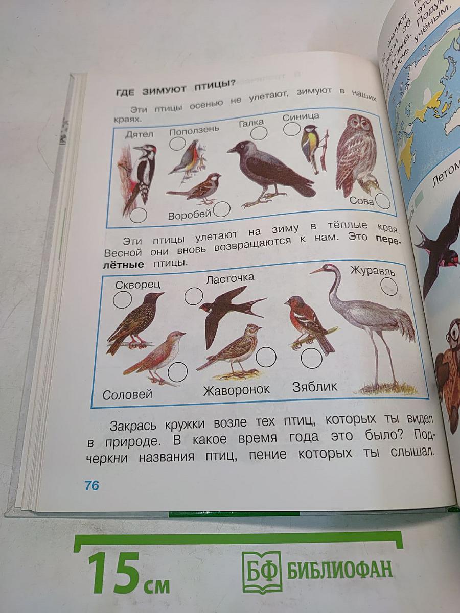 Окружающий мир. Учебник для 1 класса начальной школы. Часть 1