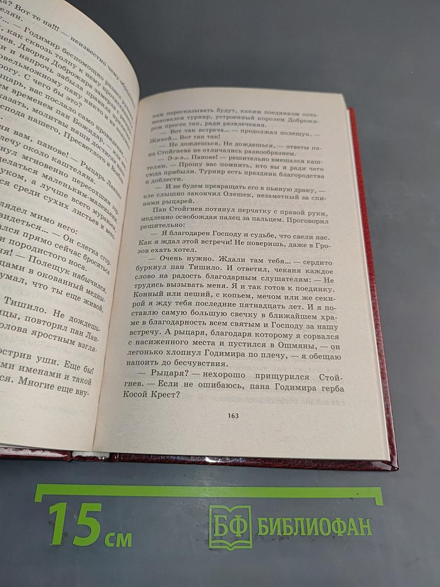 Победитель драконов. Пасынок судьбы
