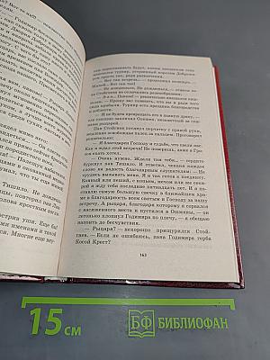 Победитель драконов. Пасынок судьбы
