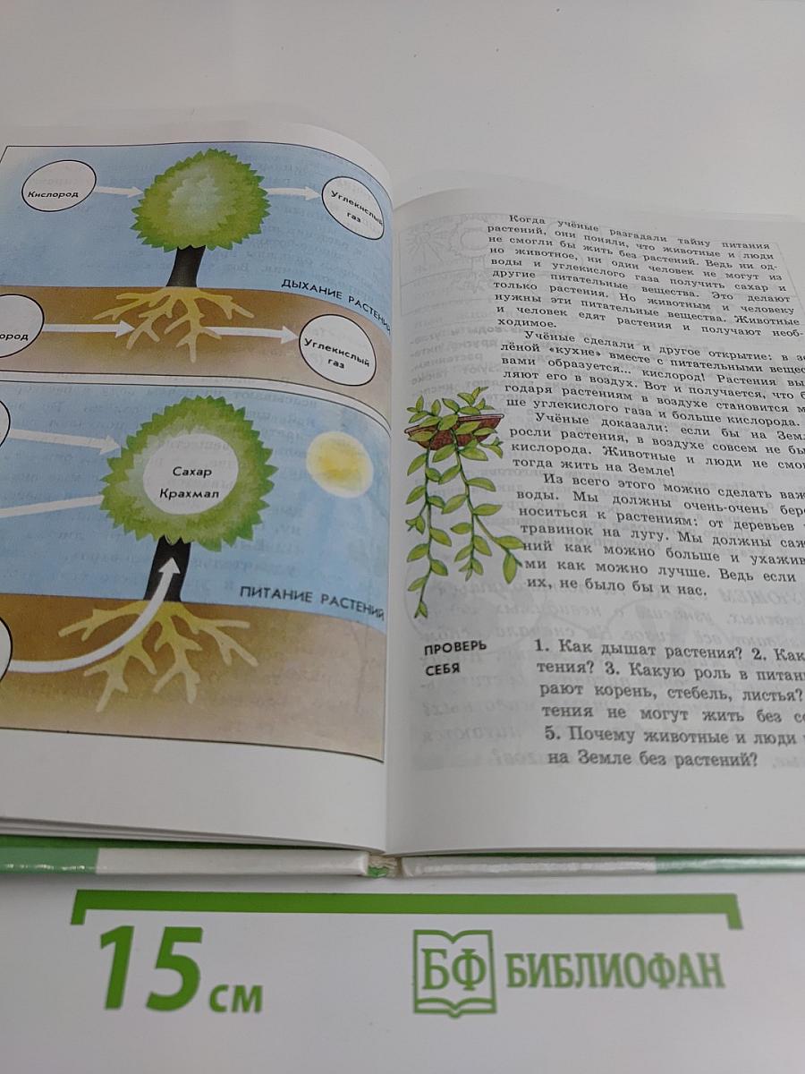 Природоведение 3 класс