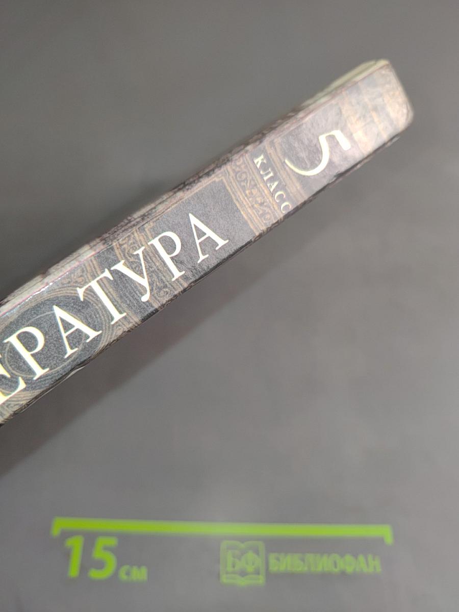 Литература 5 класс