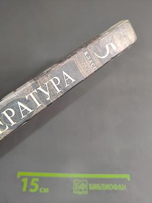Литература 5 класс