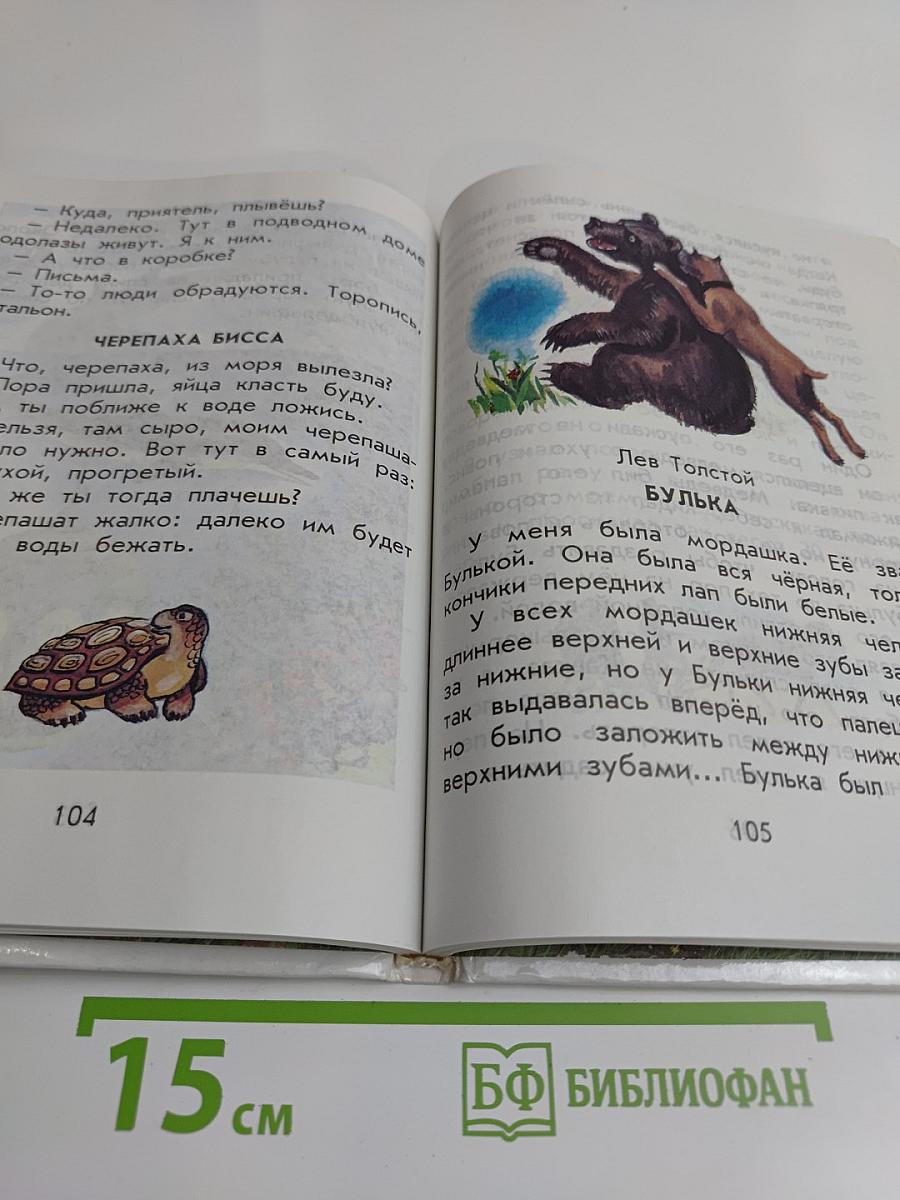 Родничок. Книга для внеклассного чтения в 1 классе