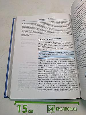 Физика. 10 класс