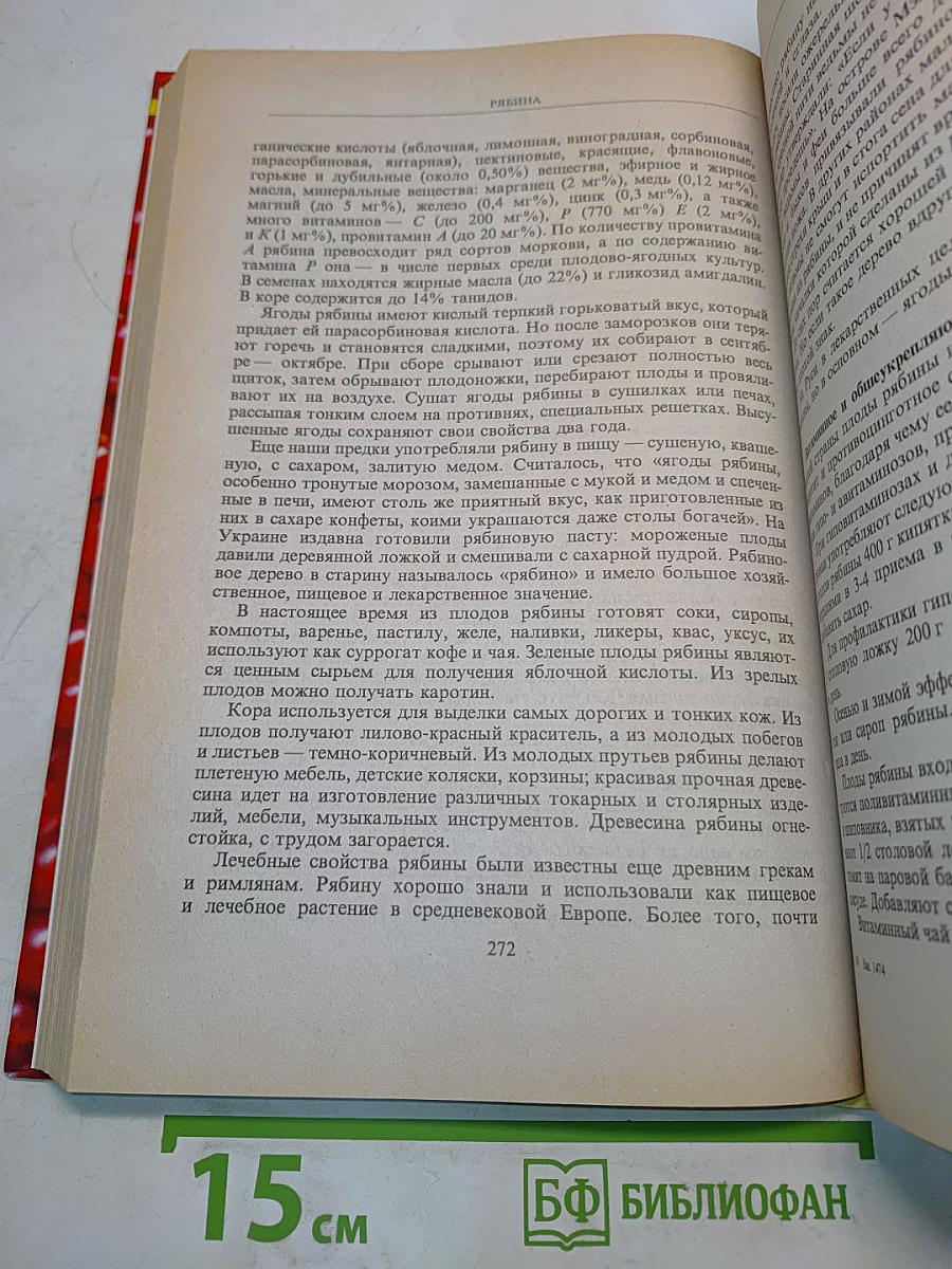 Энциклопедия орехов и диких ягод