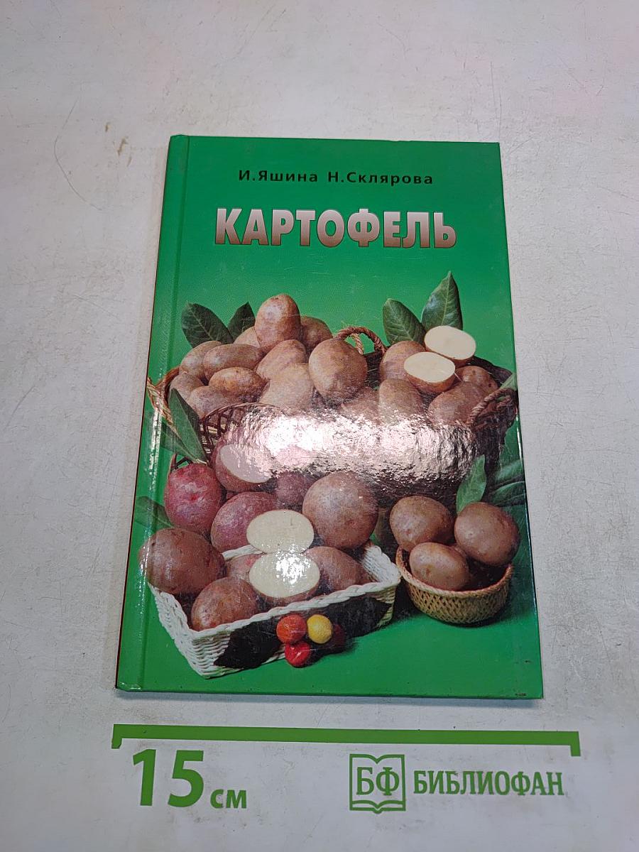 Картофель