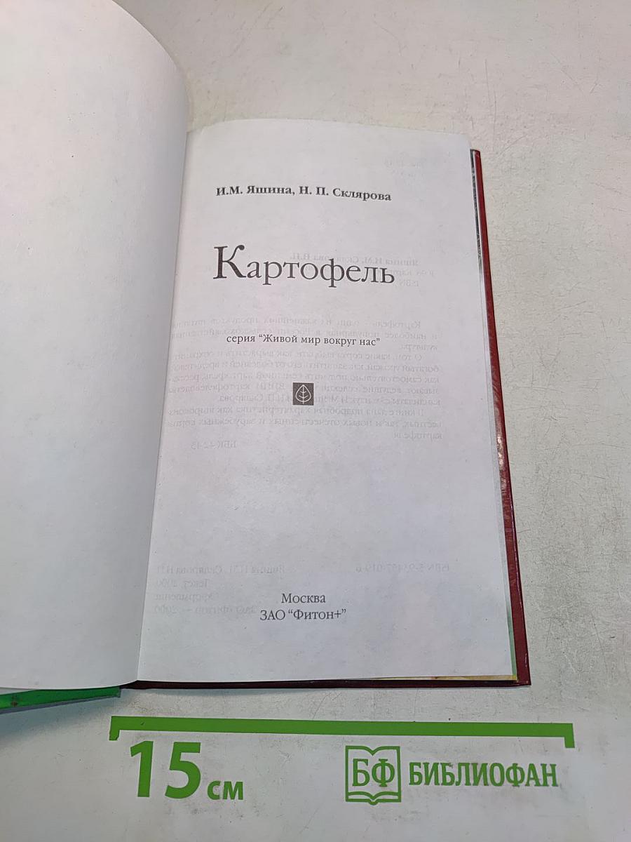 Картофель