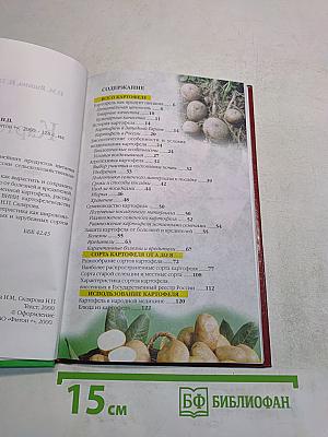 Картофель