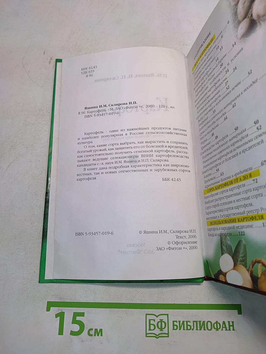 Картофель