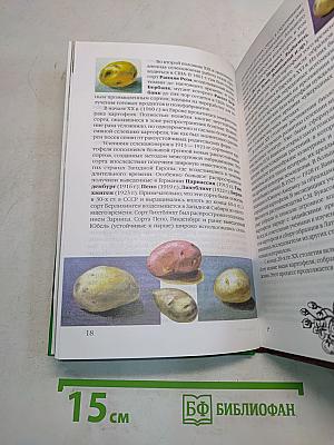 Картофель