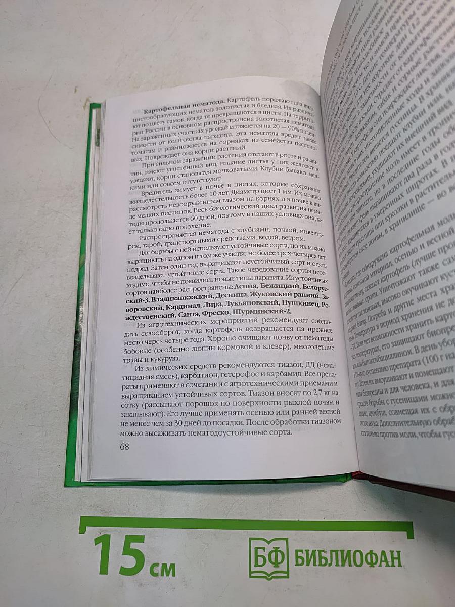 Картофель