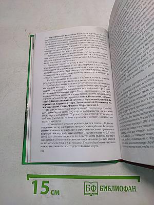 Картофель