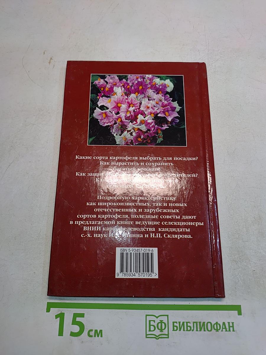 Картофель