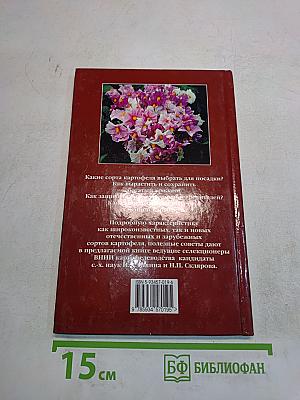 Картофель