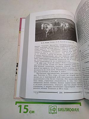 Литература. 10 класс. Учебник. Часть 2