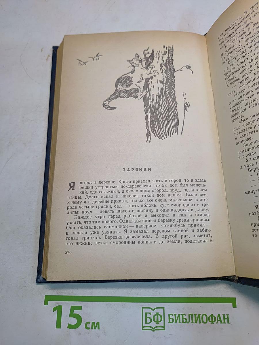 Парень с большим именем