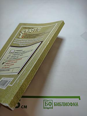 Шаги 1. Книга для учителя к учебнику немецкого языка для 5 класса