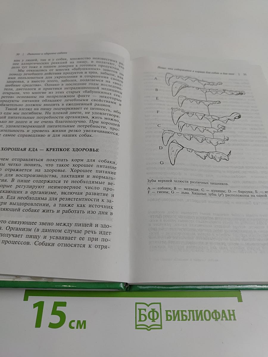 Питание и здоровье собаки