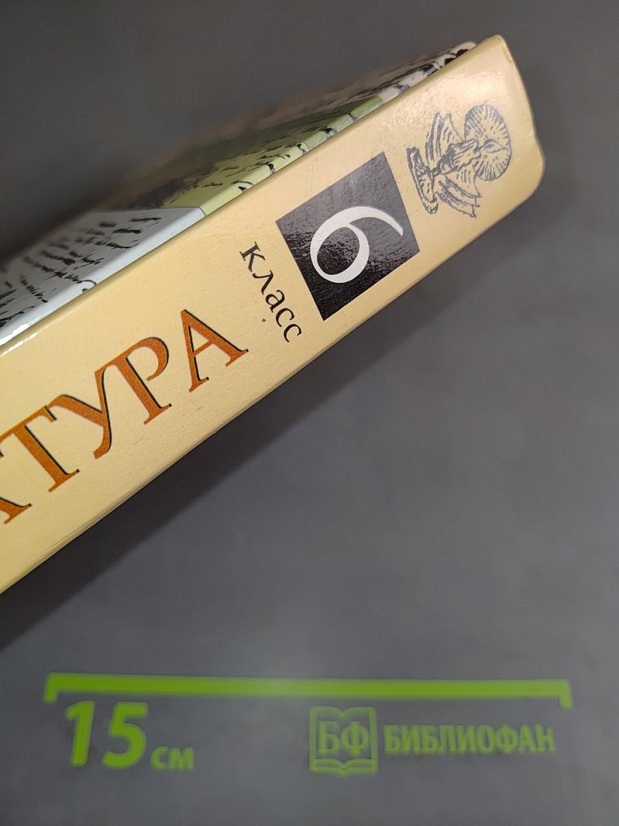 Литература. Учебник-хрестоматия для общеобразовательных учебных заведений. 6 класс