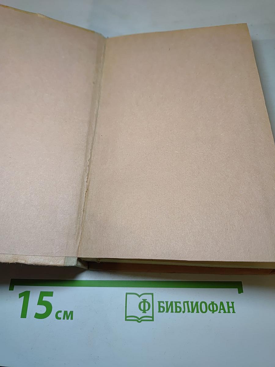 Поединок. Гранатовый браслет