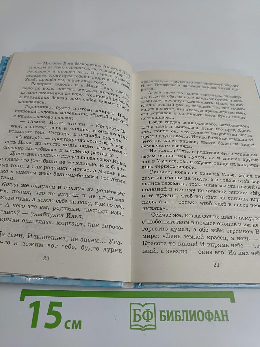 Нечаянная радость