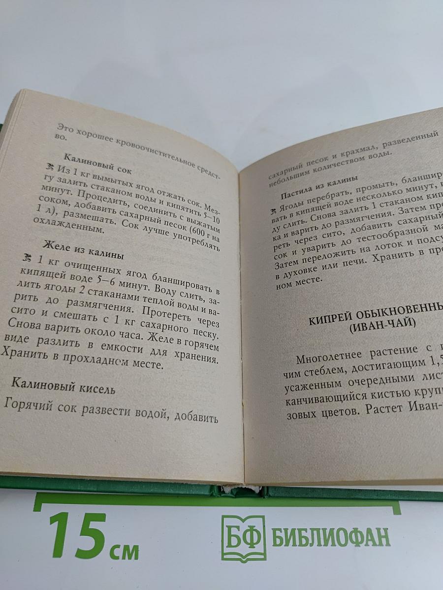 Пропитание во все времена. Советы и рецепты православным