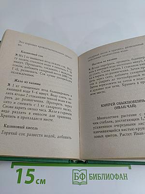 Пропитание во все времена. Советы и рецепты православным