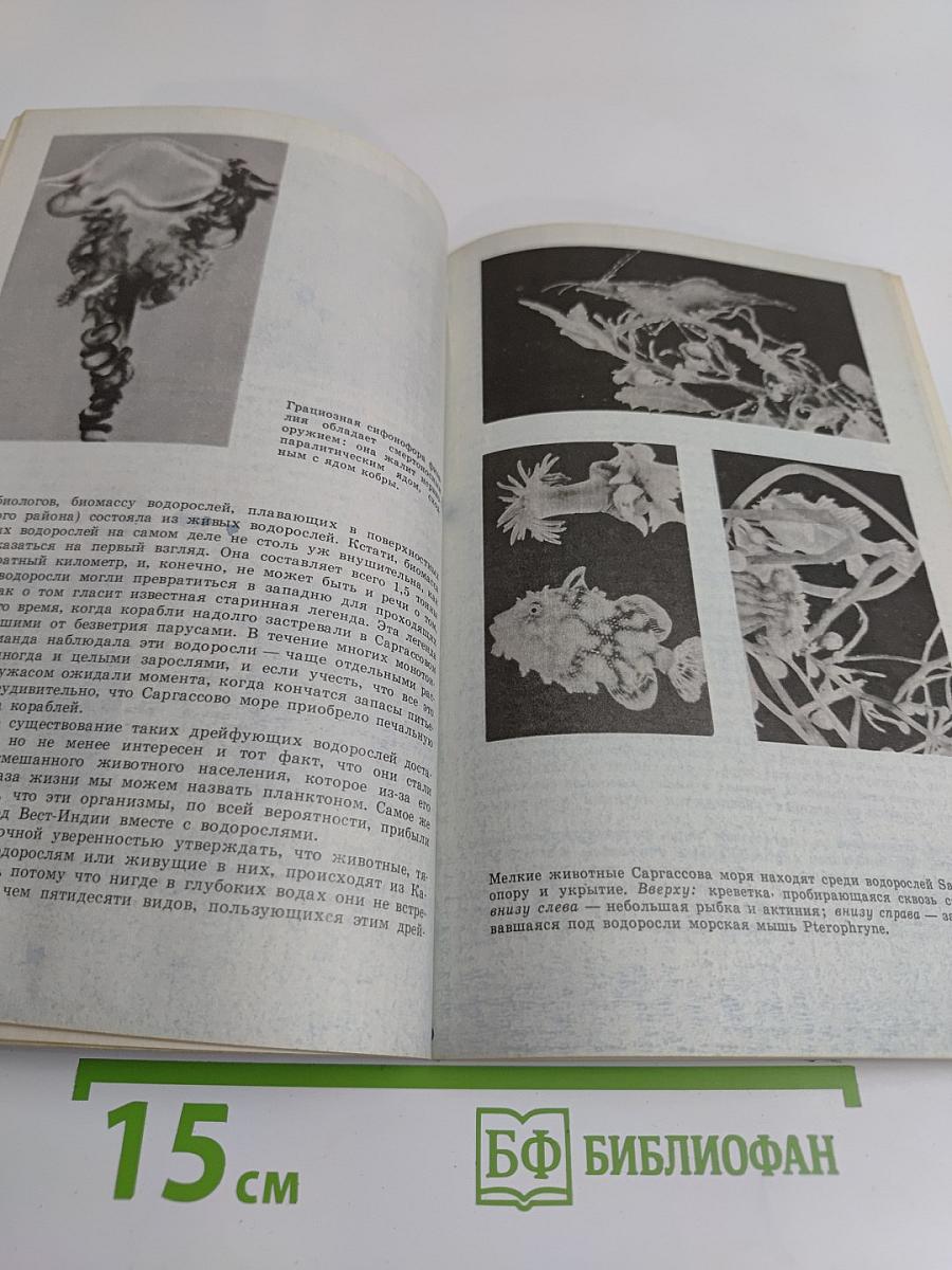 Живой океан