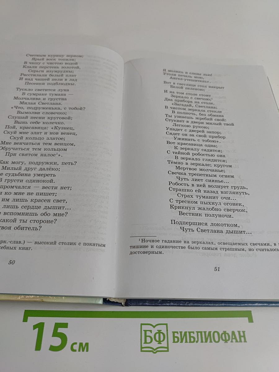 Литература. Начальный курс. Учебник-хрестоматия. Часть 1. 6 класс