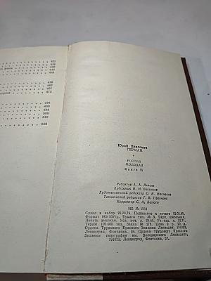 Россия молодая. Книга вторая