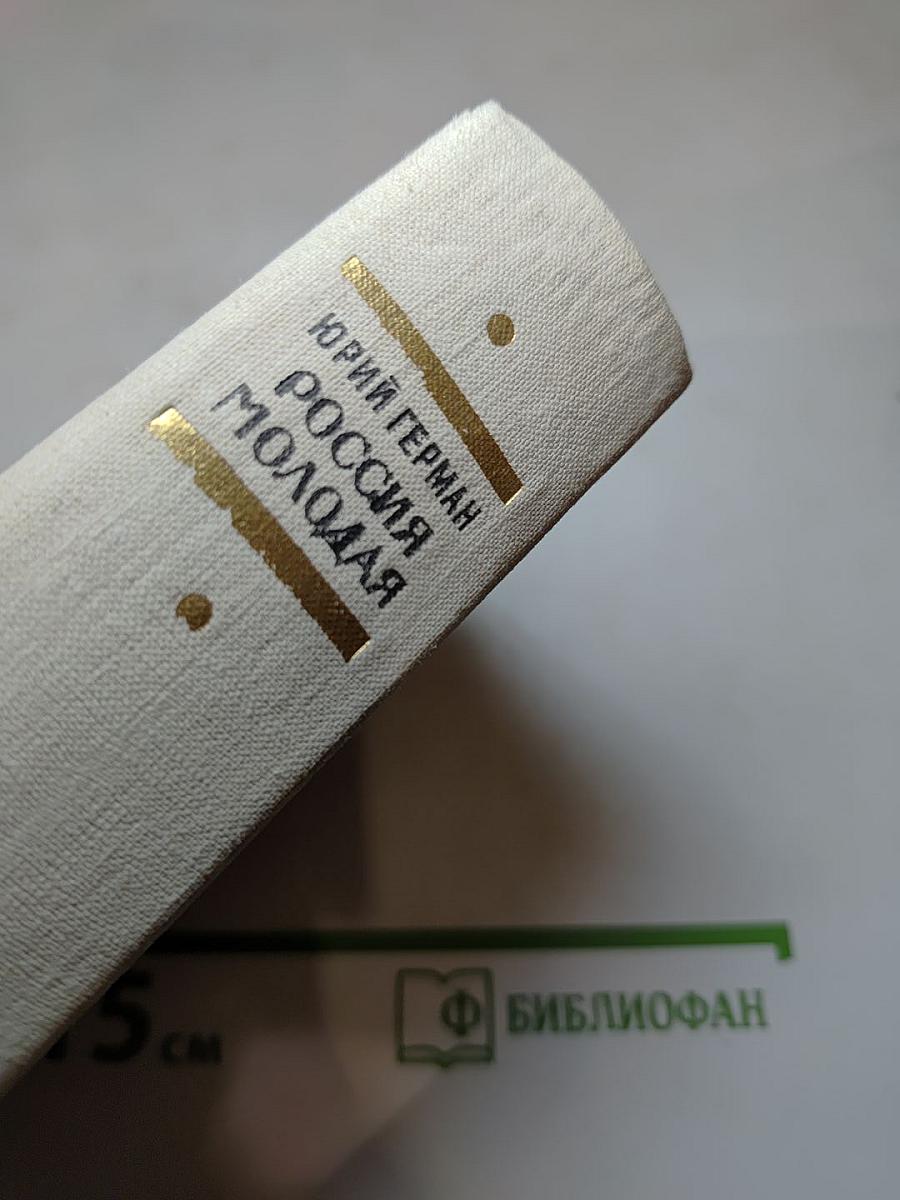 Россия молодая. Книга вторая
